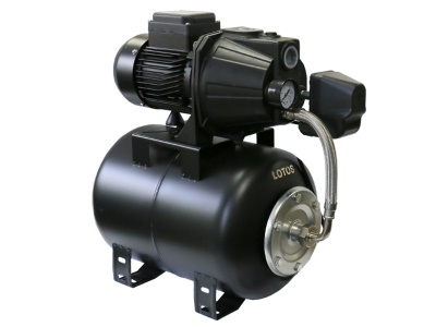 lotos_2_5451593412446